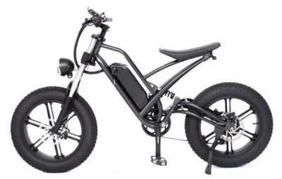 MID Drive Bafang Motor 7-Speed MTB Fat Tire off Road Electric Mountain Full Suspension Snow Cruiser E Bike with Lithium Battery