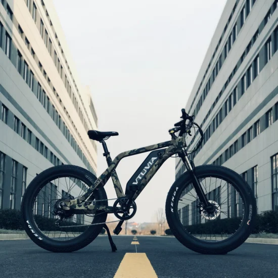 500W/750W/1000W 26 Inch 100 Nm Shimano 7-Speed MTB Fat Tire Electric Mountain Bike Snow Cruiser E Bike